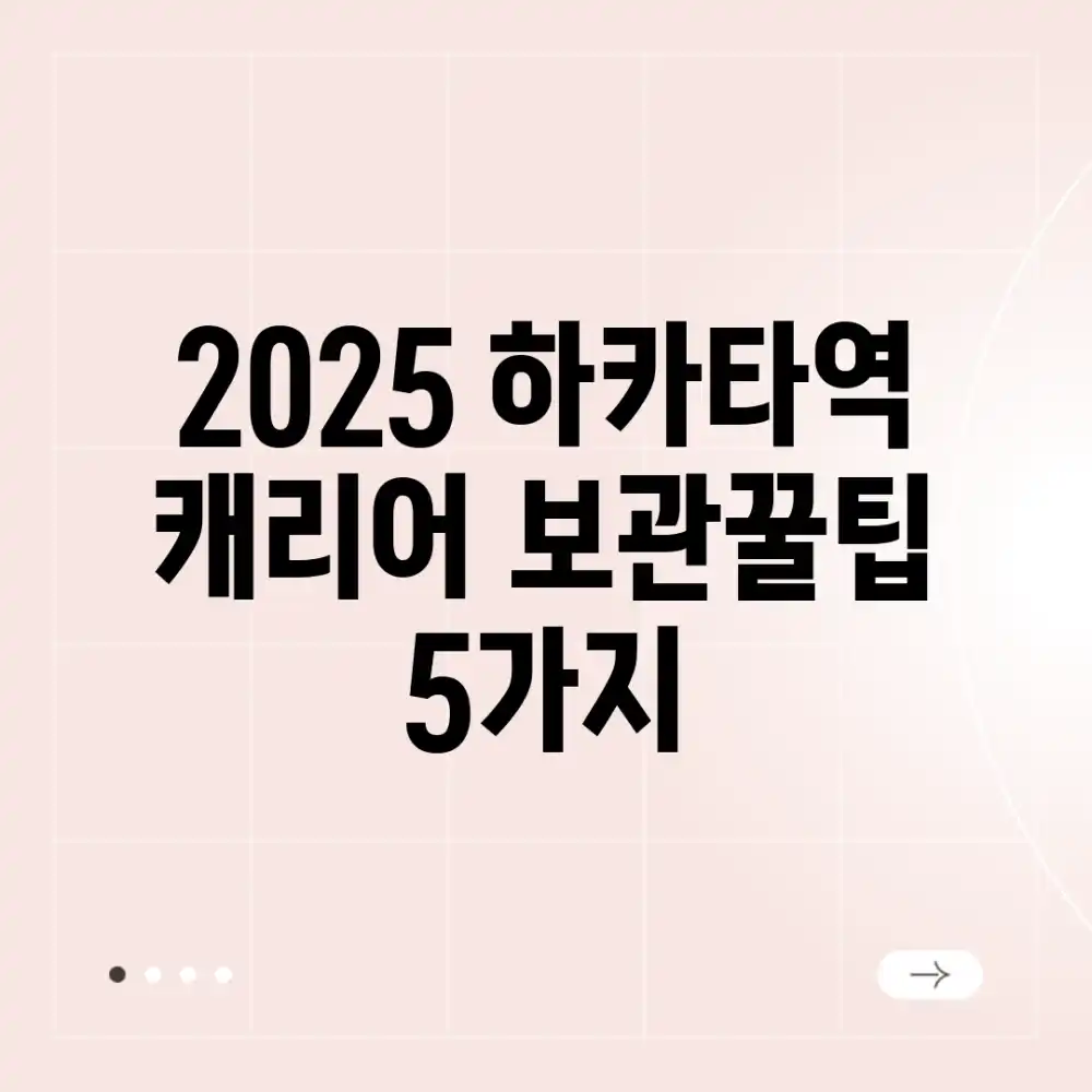2025 하카타역 캐리어 보관꿀팁 5가지