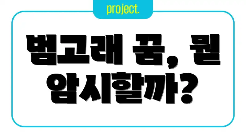 범고래 꿈, 뭘 암시할까?