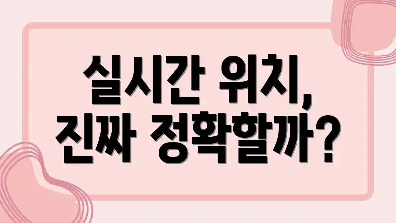 실시간 위치, 진짜 정확할까?